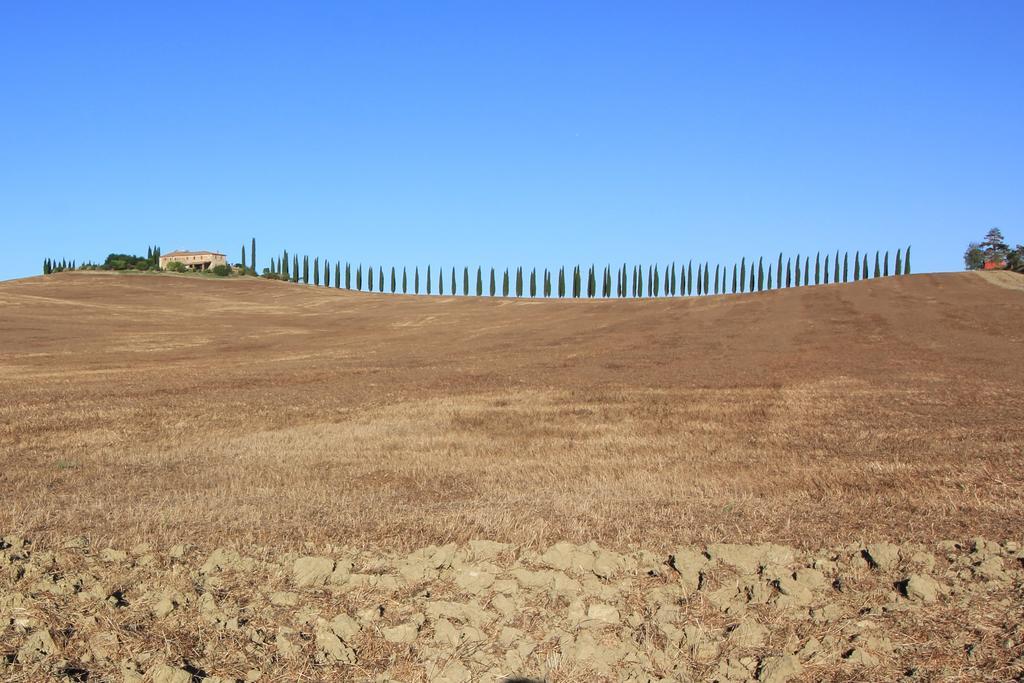 Apartamento La Terrazza Sulla Val D'Orcia Castiglione dʼOrcia Exterior foto